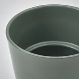 SOJABÖNA Matera, gris con verde, 9 cm