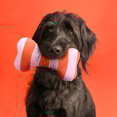 UTSÅDD Juguete blando para perro, Rayas/rosado claro naranja