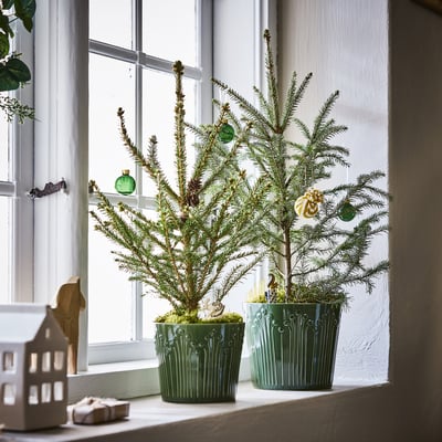 VINTERFINT Matera, verde, 12 cm