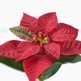 VINTERFINT Planta artificial, Interior / exterior euphorbia pulcherrima/rojo, 6 cm