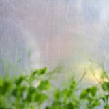 Atraktivní skleník s průhledným krytem. Je obdélníkový, bílý a podepřený třemi policemi. Zelené listy vykukují zespodu.