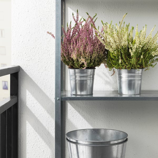 Dvě rostliny v květináčích na polici přijímají sluneční světlo, což zlepšuje vnitřní zeleň a náladu.