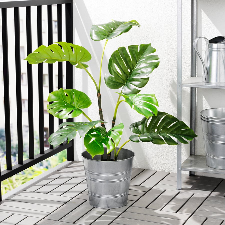 FEJKA umělá květina v květ., vn./venkovní monstera, 19 cm IKEA