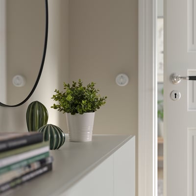 Malá bílá rostlina v květináči FEJKA stojí na polici u dveří, obklopená knihami, zrcadlem a dekorativními předměty.