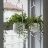 Bílé závěsné rostliny FEJKA oživují vnitřní prostory s nenáročnou údržbou, spojují minimalistický design a ekologické materiály.
