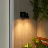 Černá nástěnná lampa se 2 žárovkami, zelené rostliny, dodává útulné světlo.