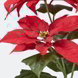 Realistická umělá vánoční hvězda se zářivě červenými okvětními lístky a zelenými listy, která předvádí vysoce kvalitní řemeslné zpracování a realistické detaily.