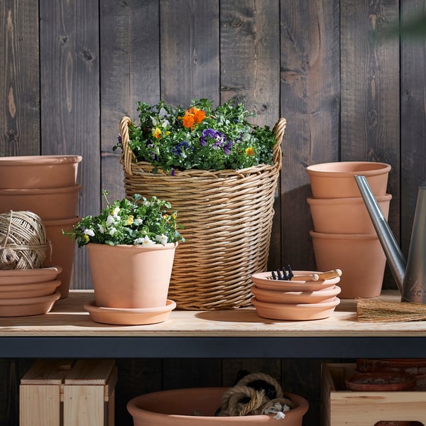 Proutěný košík s živými květinami na polici, obklopený terakotovými květináči, to vše u dřevěné stěny.