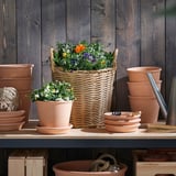 Proutěný košík s živými květinami na polici, obklopený terakotovými květináči, to vše u dřevěné stěny.