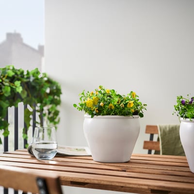 Balkonová scéna s bílými květináči se žlutými květy na dřevěném stole, doplněnými sklenicemi na víno a zelenou rostlinou.
