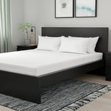 Modern bedroom with black queen mattress, white sheets, and bedside plant lamp.