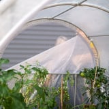 Greenhouse with semi-transparent cover, white, round shape, showing tomatoes and foliage, supported by metal tubes.