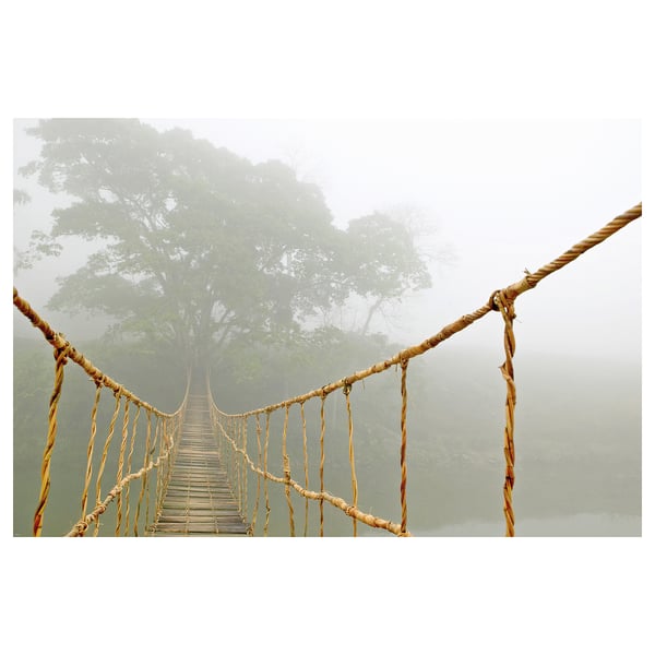 A misty suspension bridge with wooden planks and ropes, surrounded by trees.