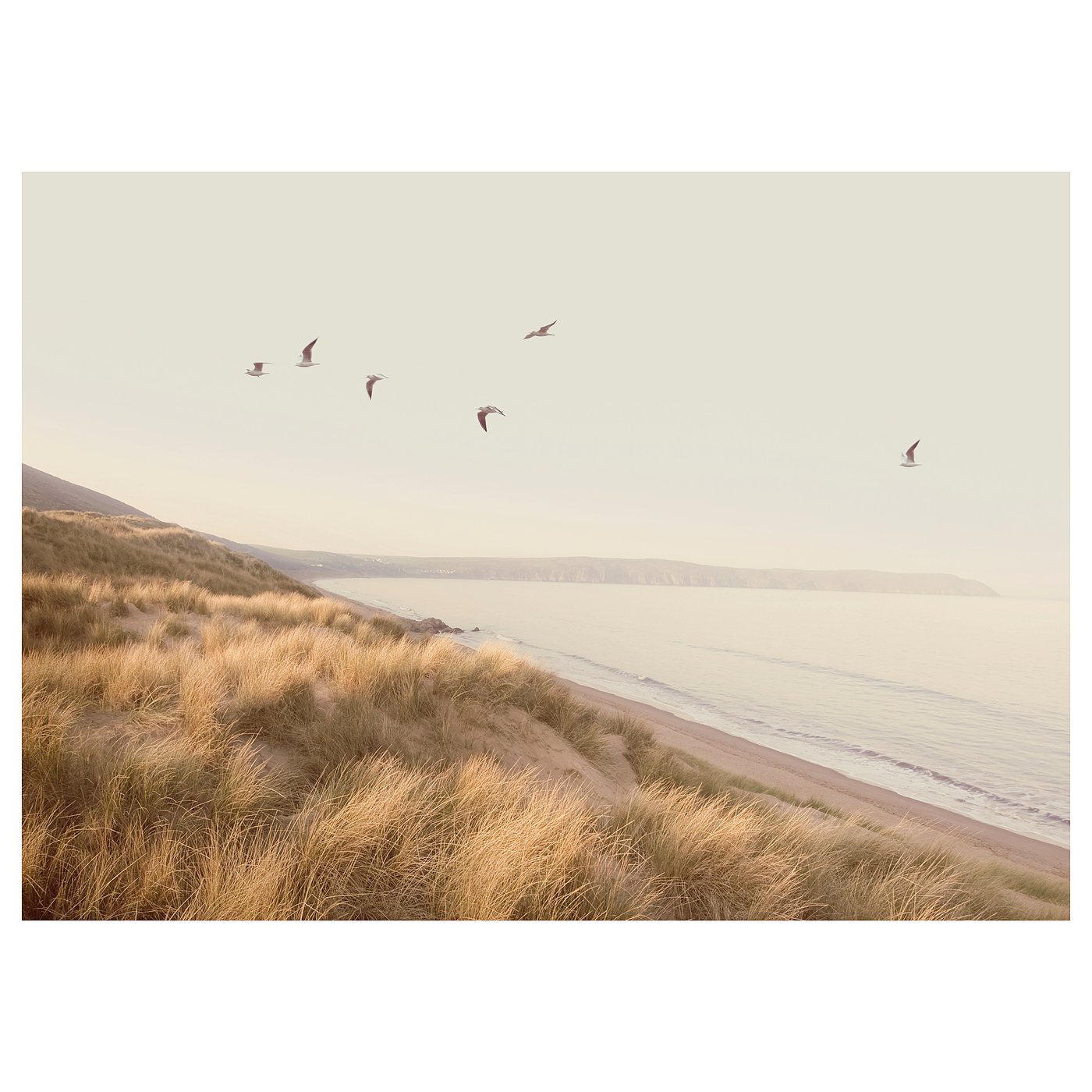 BJÖRKSTA Picture, birds by the beach, 140x100 cm IKEA