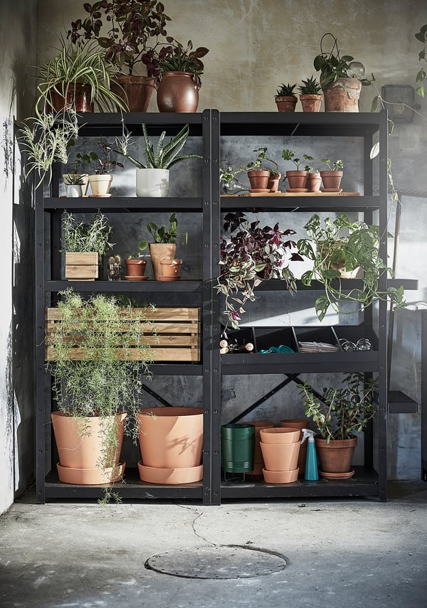 Black metal plant shelf with multiple tiers, holding various potted plants and gardening supplies.