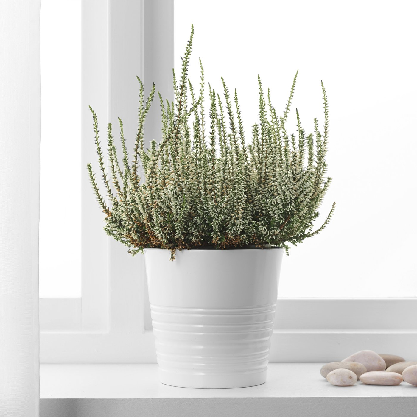 Best Fake Plants From Target 2022 POPSUGAR Home, 52 OFF