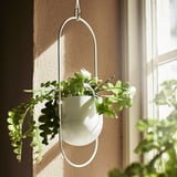 White hanging planter, CHILISTRÅN, holds green plant, suspended by metal ring.
