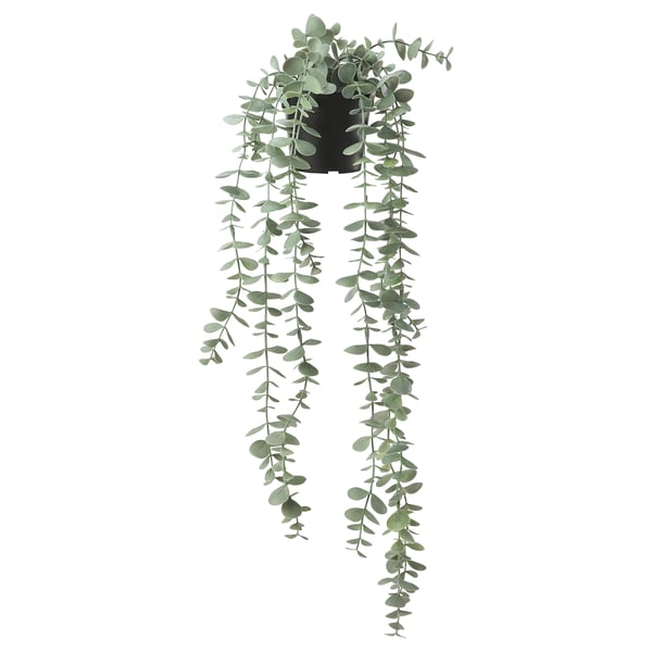 FEJKA potted plant, green, plastic, hanging, modern design.