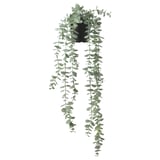 FEJKA potted plant, green, plastic, hanging, modern design.