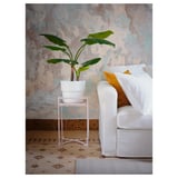 A cozy room with a white cushioned chair, a small potted plant on a pink stand against a textured wall.