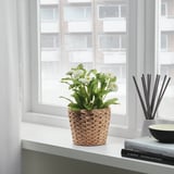 A woven plant basket with white flowers sits by a window, featuring an inner saucer.