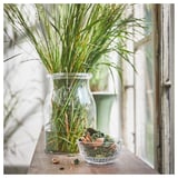 A clear glass vase with green plants sits on a wooden shelf next to a small bowl of green potpourri.