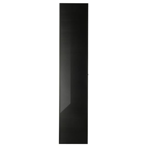 Black HÖGBO glass bookcase door with metal frame.