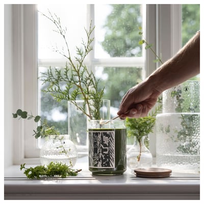 A person adjusts pine branches in a green JÄMTSKOGEN candle jar beside other glass vases by a window.