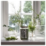 Window display: green candle JÄMTSKOGEN with glass jar, surrounded by clear vases with greenery.