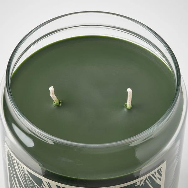 Glass candle jar with dark green wax and two unlit white wicks.