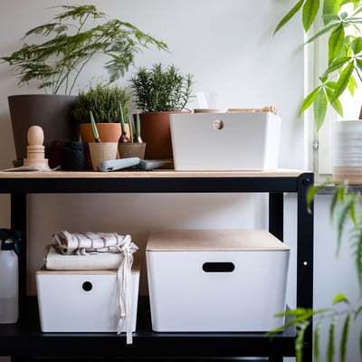 Wooden shelves with white KUGGIS boxes and plants.