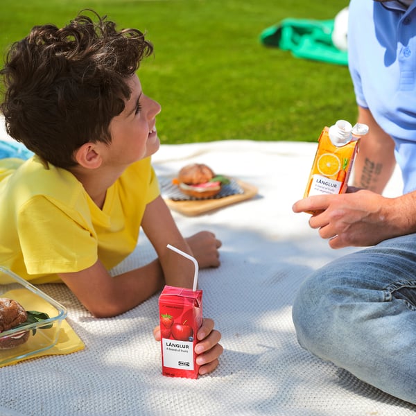 A young boy and an adult enjoy LÅNGLUR smoothies outdoors on a blanket with sandwiches.