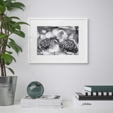 Framed butterfly art on wall, with plant and books.