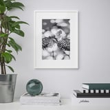 A framed black-and-white butterflies hangs on a gray wall above stacked books and a plant, showcasing decorative versatility.