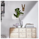 Wood dresser with rainbow vase plant, deer head above.