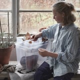 Woman sits by window, handling crafts in clear plastic SAMLA box. She wears a checkered shirt, focusing on miniatures. Potted plant and gloves nearby.