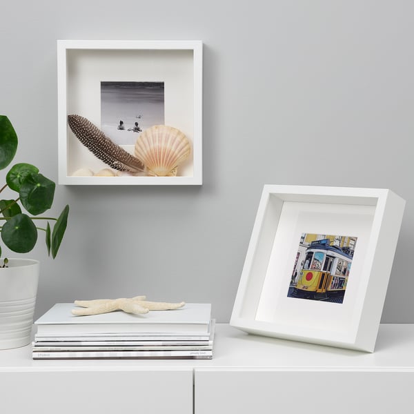 White shelves with framed items: a seashell photo and a colorful building print, alongside potted plant and starfish.