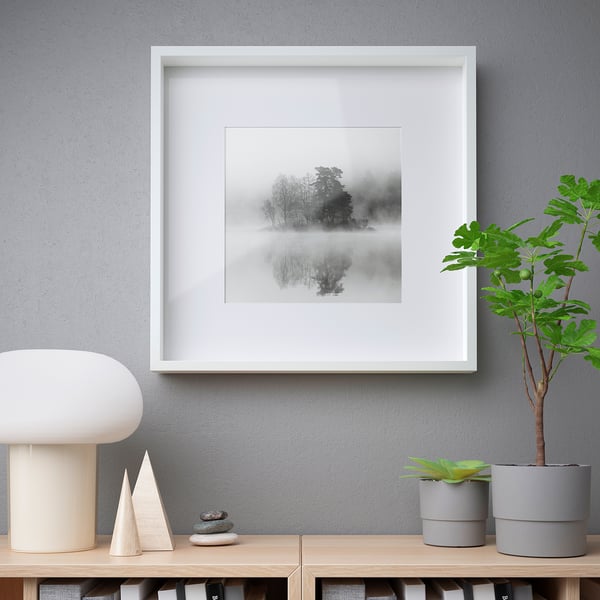 Picture frame, with front protection, on shelf, beside lamp, plant, and decor.
