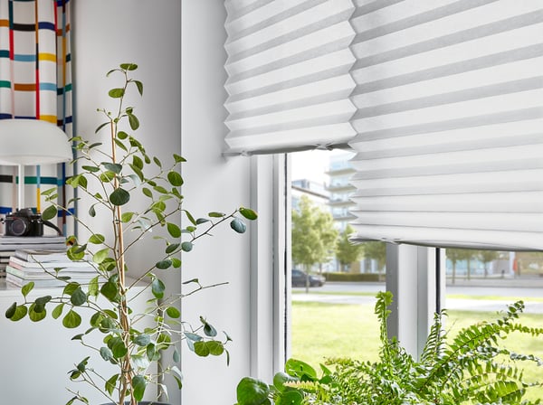 Modern room with white SCHOTTIS blinds, green plant, and outdoor view.