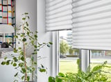 Modern room with white SCHOTTIS blinds, green plant, and outdoor view.