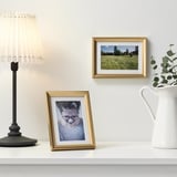 A shelf with two gold-framed pictures: one humorous close-up photo, another scenic outdoor image. A lamp and a vase with greenery are also present.