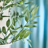 SMYCKA Artificial flower, in/outdoor/bamboo, 66 cm