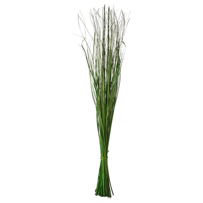 A bunch of green, dried twigs, neatly tied, displayed upright.