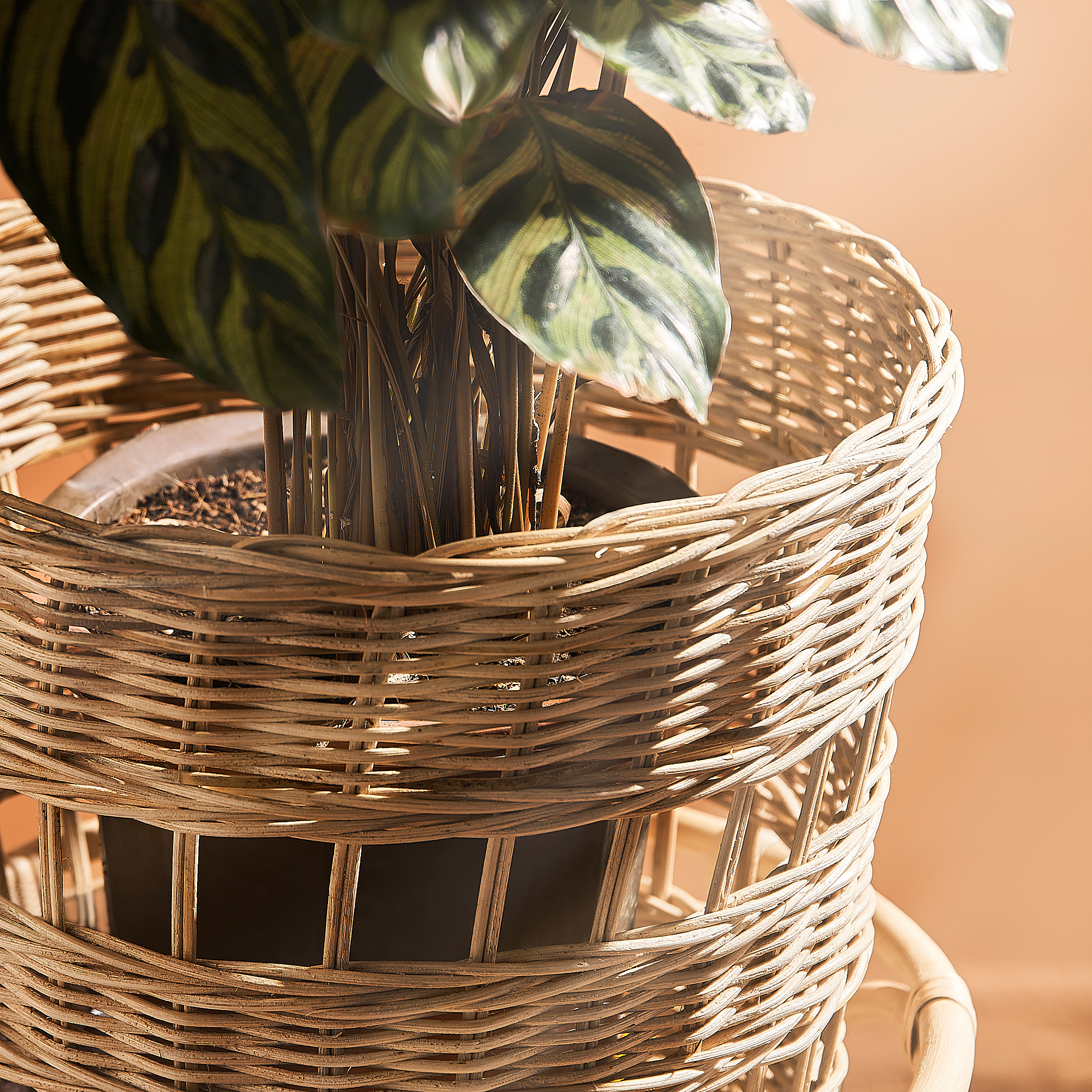 Wicker plant stand holds 3 pots, weaves intricate design, blends natural tones, fits corner or center.