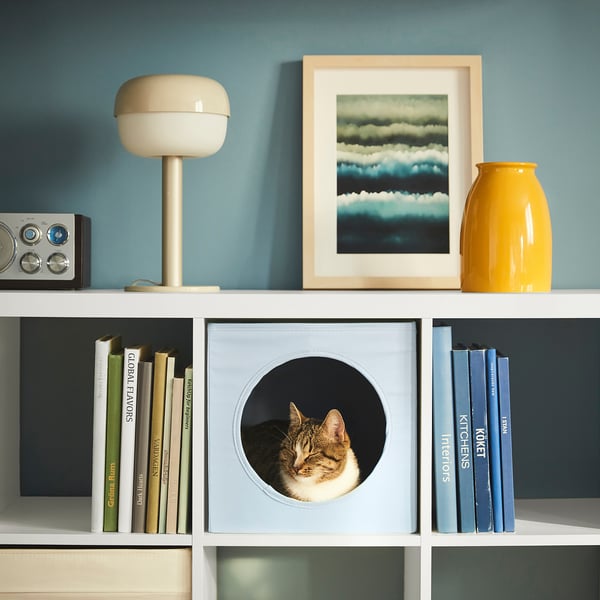 Bookshelf with cat bed, lamp, radio, painting, and vase. Cat peeking through hole in bed.
