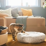 Cat standing next to plush, white, round pet bed in living room.
