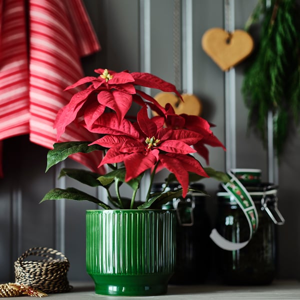 VINTERFINT Plant pot, in/outdoor/green, 12 cm