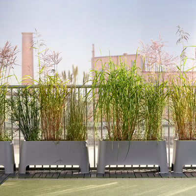 Moderne graue stapelbare Gartenpflanzgefäße mit hohen grünen Pflanzen auf einem Balkon.