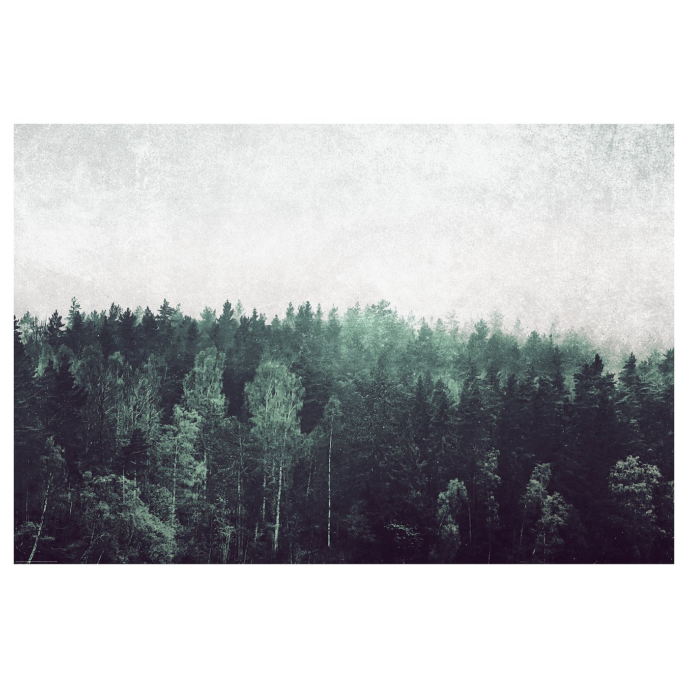 IKEA BILD Bild Baumwipfel