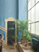 Innenhof mit blauen Wänden, großen Pflanzen und BUSKBO-Stand. Minimalistisches Design mit der Natur.